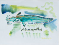 Fisch 02, Aquarell